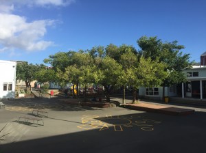Mt. Cook School courtyard